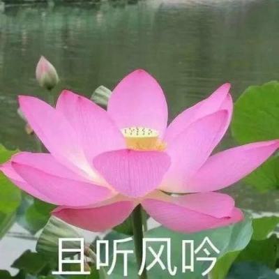 最美漓江调研行 | “桂林山水甲天下”竟然和金榜题名有关？